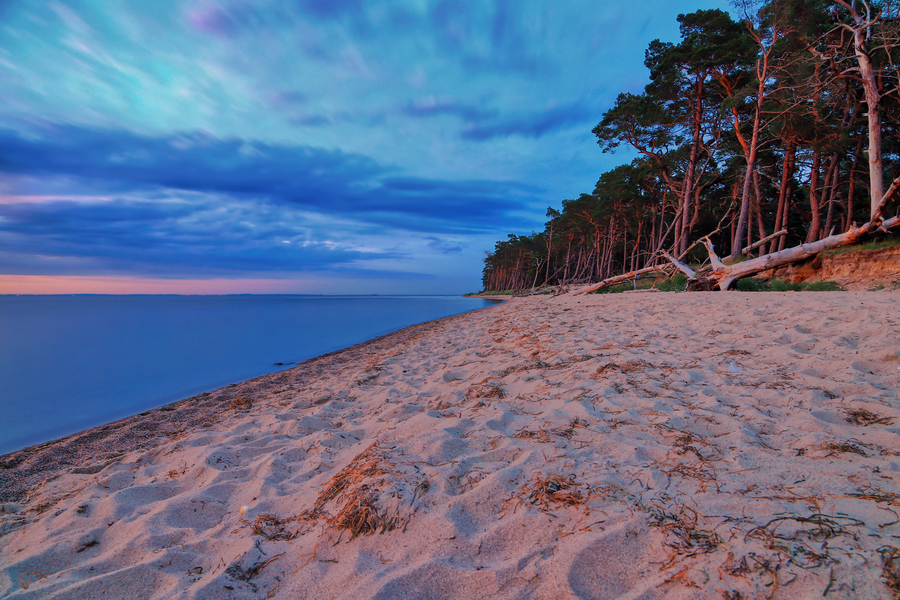 Weiter Sandstrand mit ruhigem Meer und windgeformten Küstenkiefern unter blau-violettem Abendhimmel.