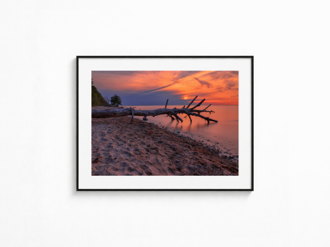 Visualisierung der Fotografie „Sandgeflüster“ in schwarzem Rahmen mit weißem Passepartout an einer hellen Wand. Großer verwitterter Baumstamm am Sandstrand, dessen Äste ins ruhige Meer ragen, vor leuchtend orangefarbenem Sonnenuntergang.