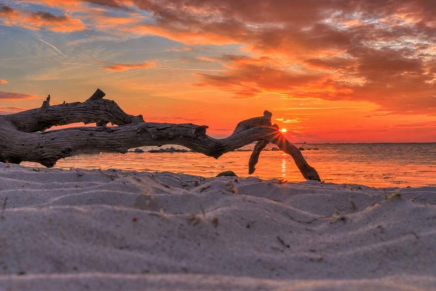 Verwitterter Baumstamm im Vordergrund eines Sandstrandes vor leuchtend orangefarbenem Sonnenuntergang über dem Meer.