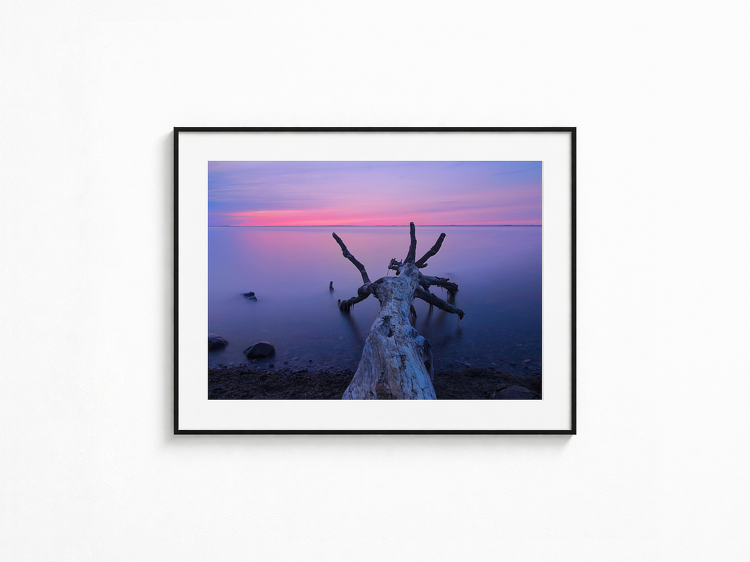 Visualisierung der Fotografie „Sturmschläfer“ in schwarzem Rahmen mit weißem Passepartout an einer hellen Wand. Alte, verwitterte Buhnen ragen aus dem bewegten Meer unter einem dramatischen, dunklen Wolkenhimmel.